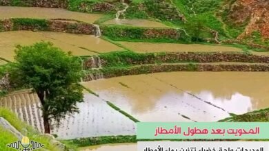 المدرجات في المحويت